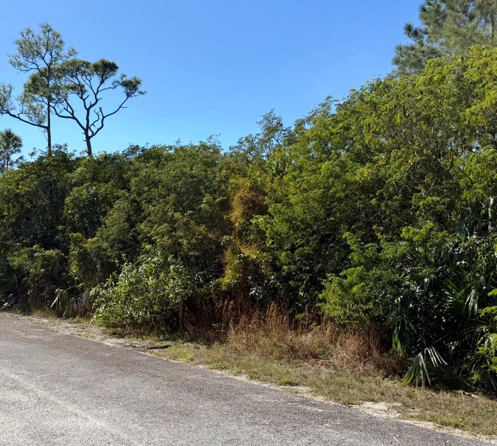 Dundas Town Lot, Abaco