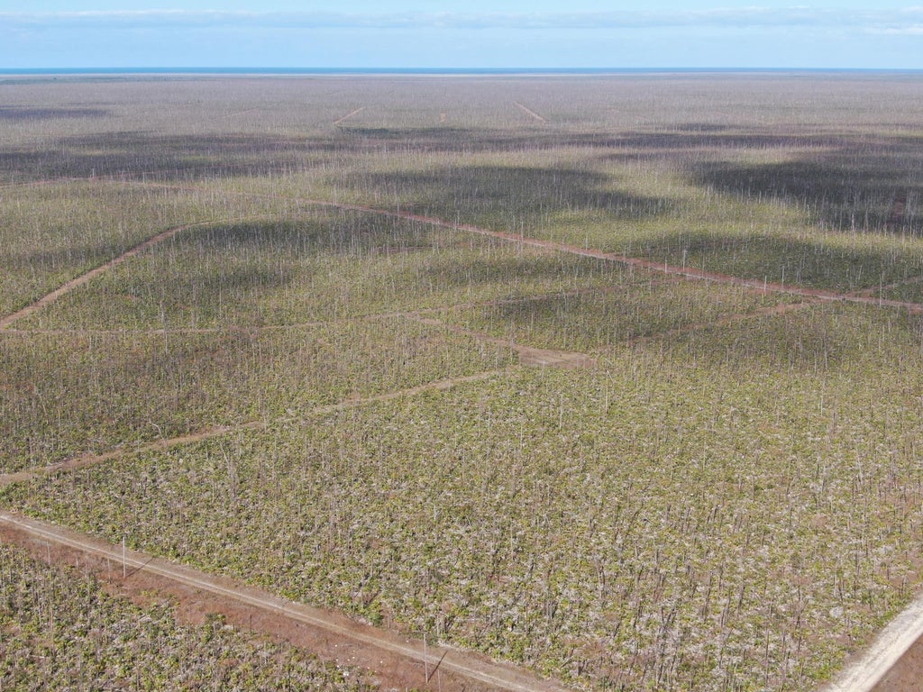 008 Lucaya Estates 29, Grand Bahama/Freeport