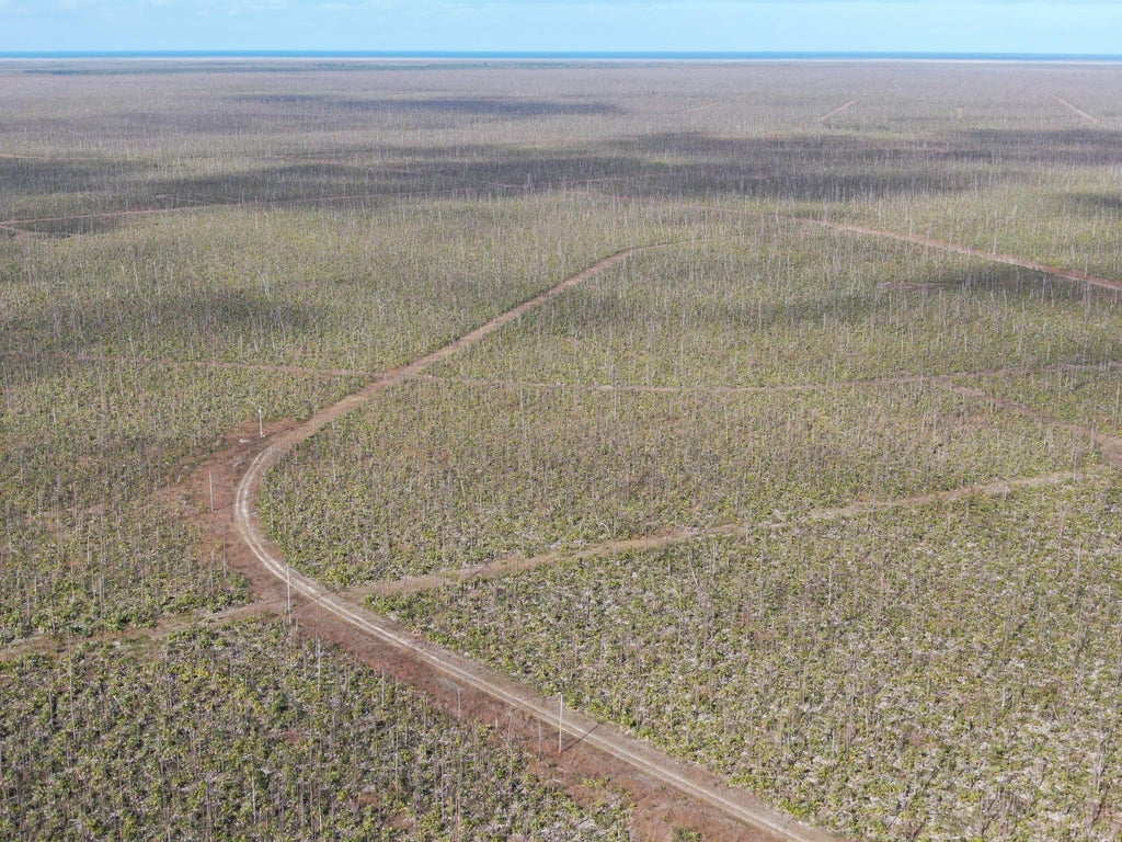 10, 7 & 8 Lucaya Estates 317 & 321, Grand Bahama/Freeport