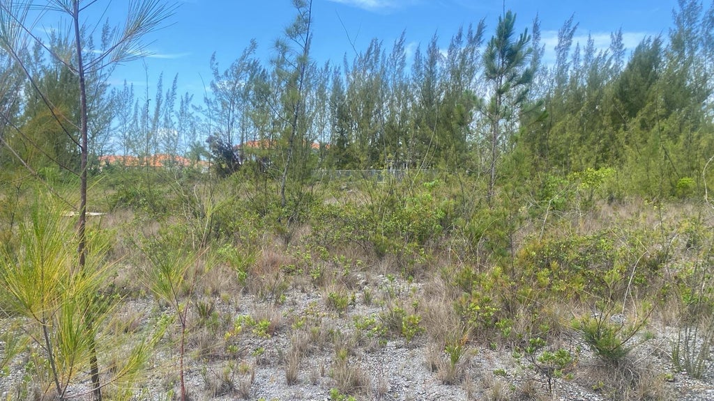 Parcel B Coral Harbor, New Providence/Paradise Island