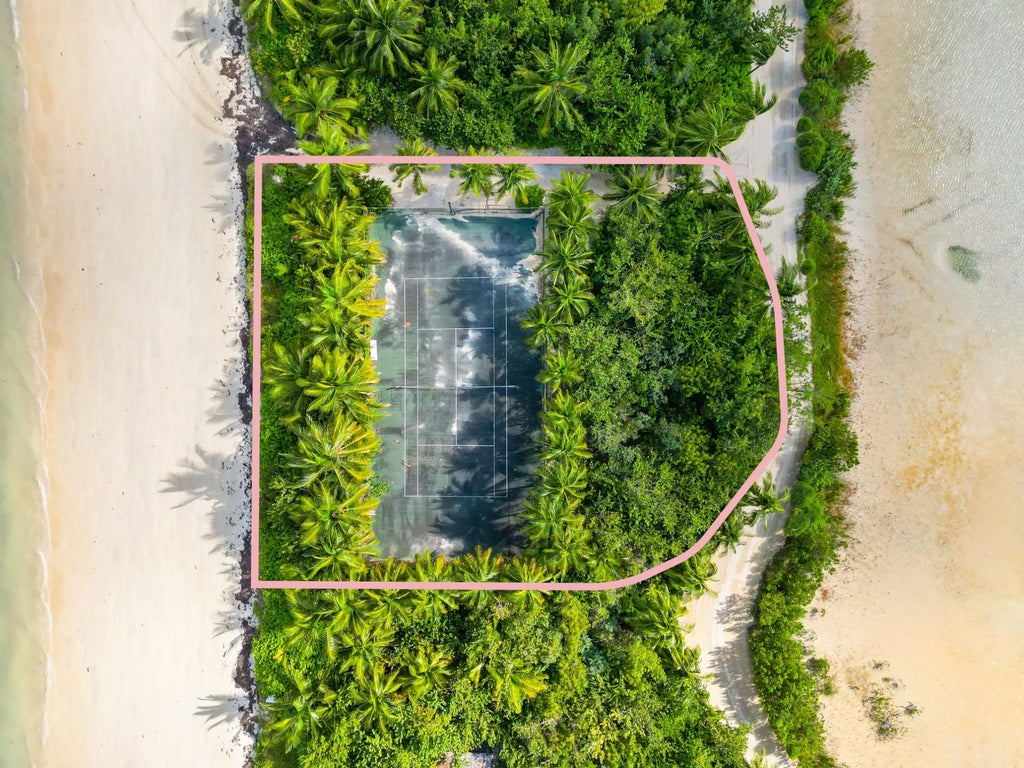 Little Bird Lot, Andros