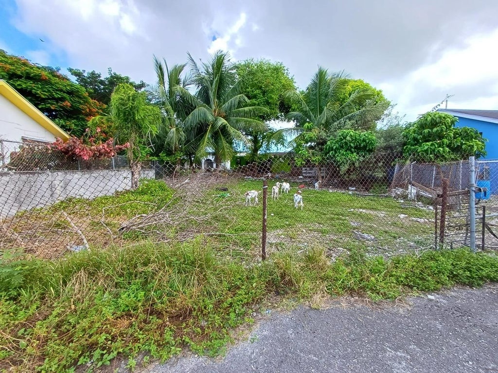 Lumumba Multifamily Lot, New Providence/Paradise Island