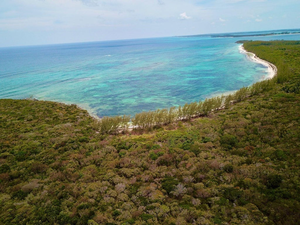 Tarpum Bay, Eleuthera