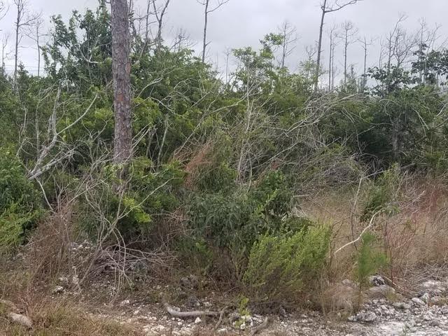 Windsor Bay Sub, Grand Bahama/Freeport
