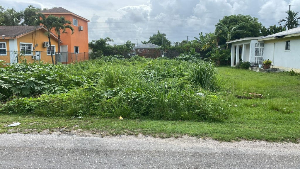 Bamboo Street, New Providence/Paradise Island