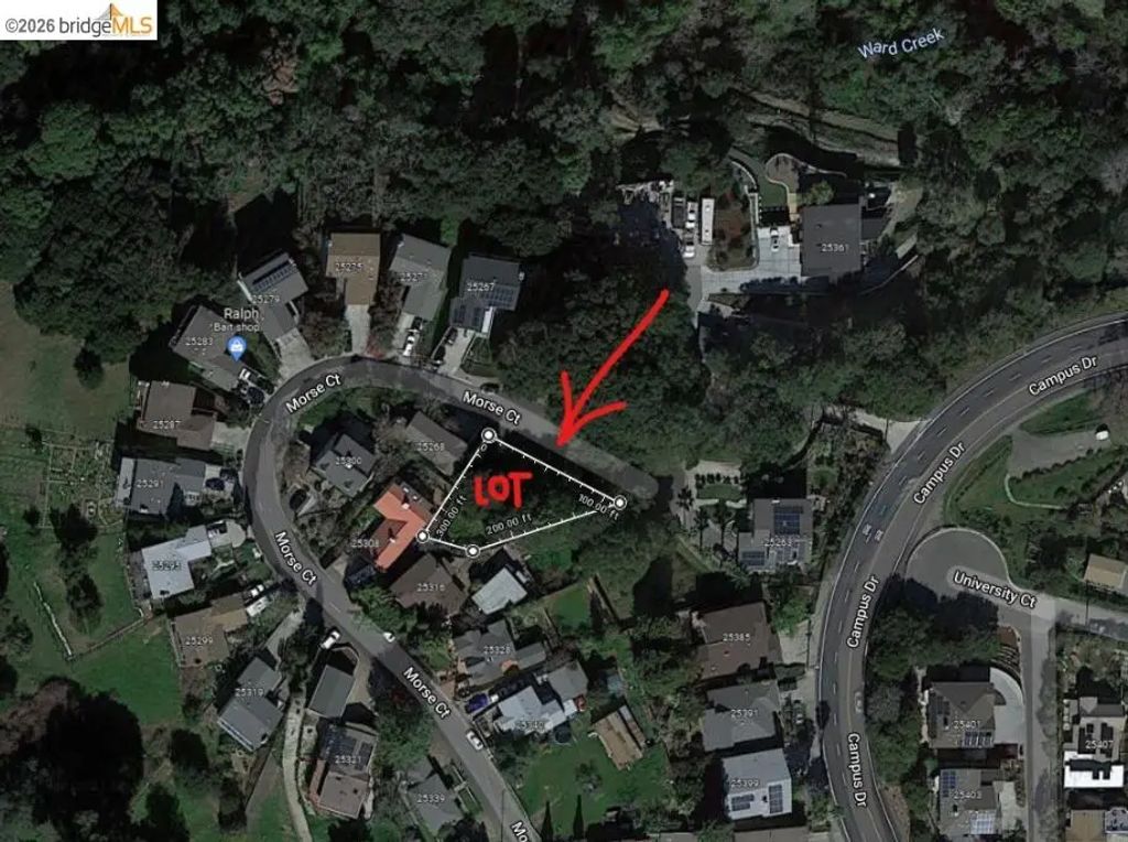 Morse Ave, Hayward