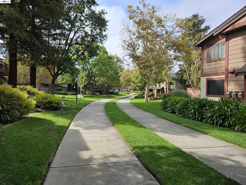 247 E Warren Cmn, Fremont