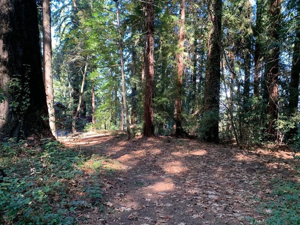 Santa Ana Road, Los Gatos