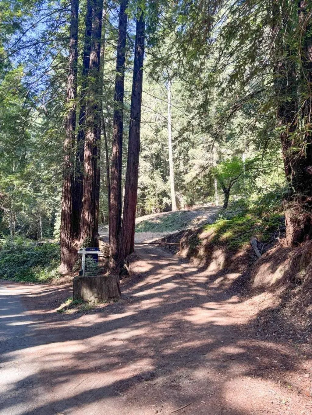 15645 Stetson Road, Los Gatos