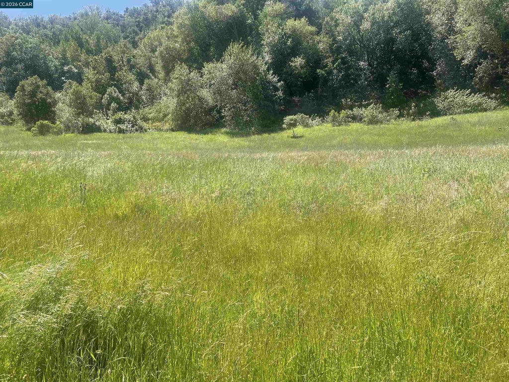 1180 Bear Creek Rd, Martinez