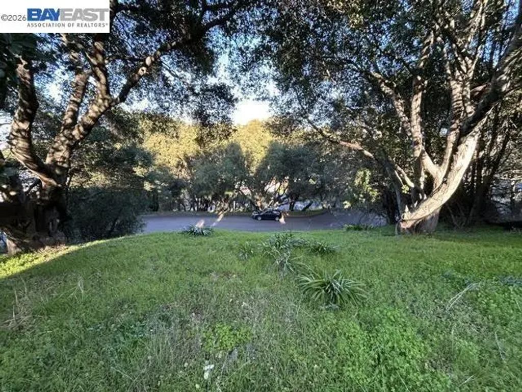 Morse Ave, Hayward