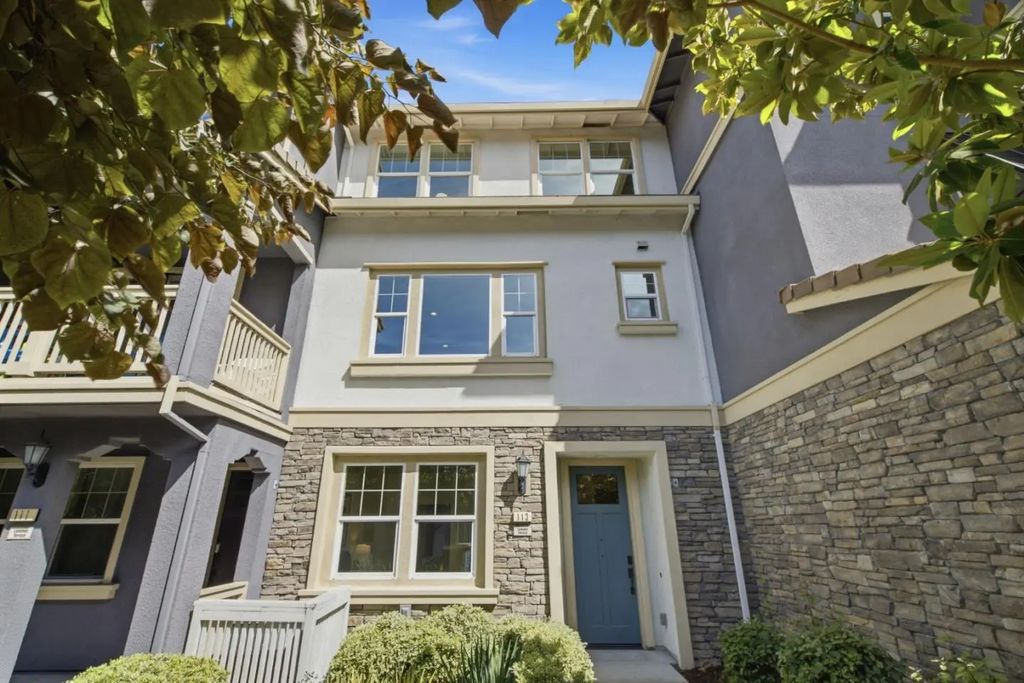 113 Lemmon Terrace, Sunnyvale
