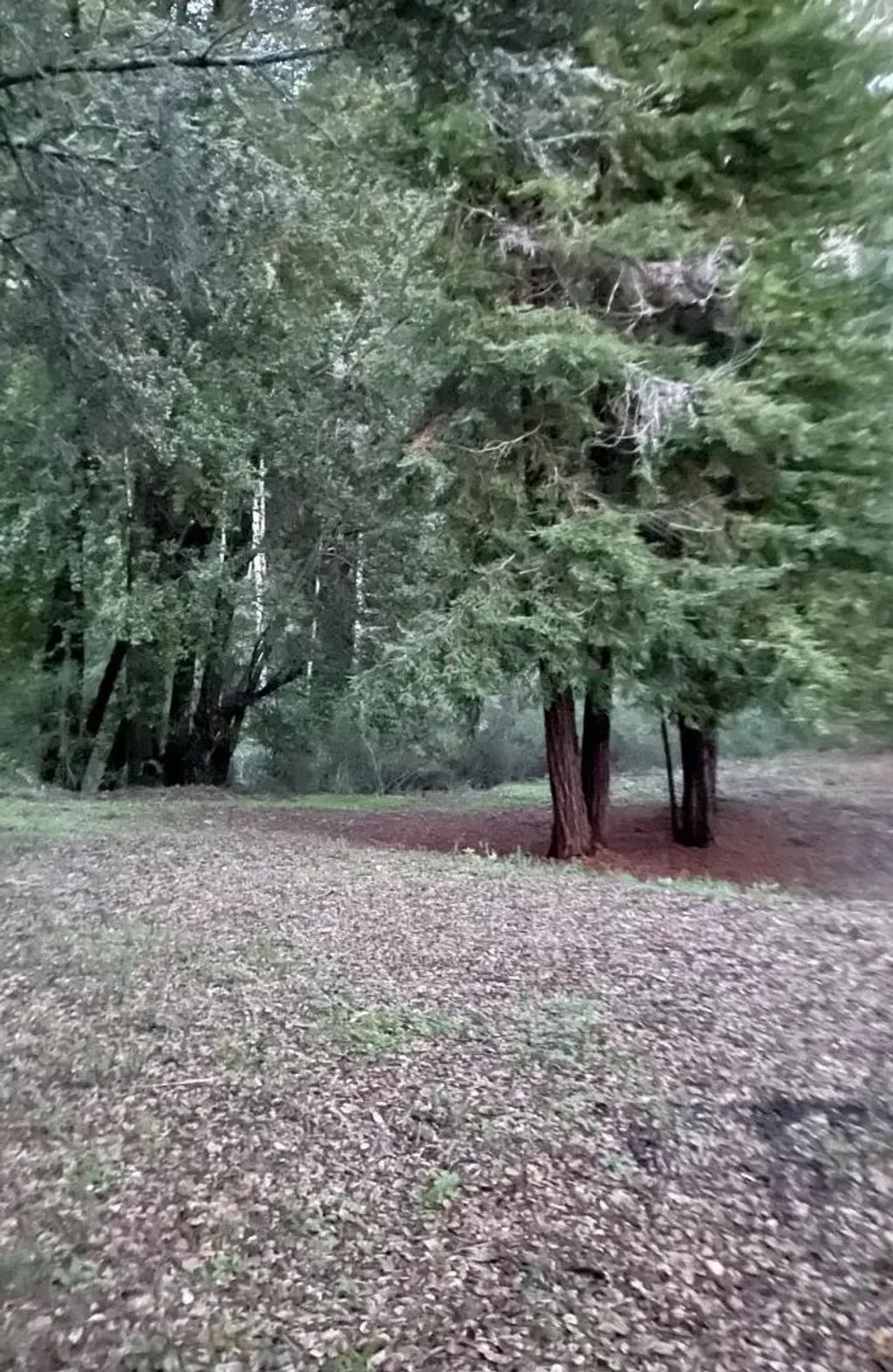 Long Branch Road, Los Gatos