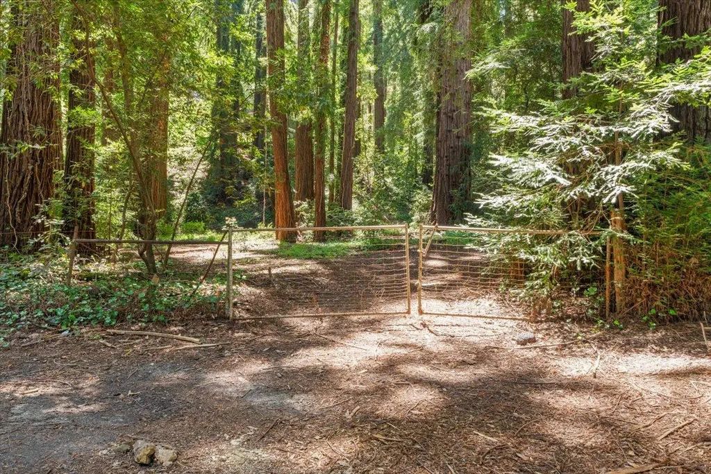 Grove Street, Los Gatos