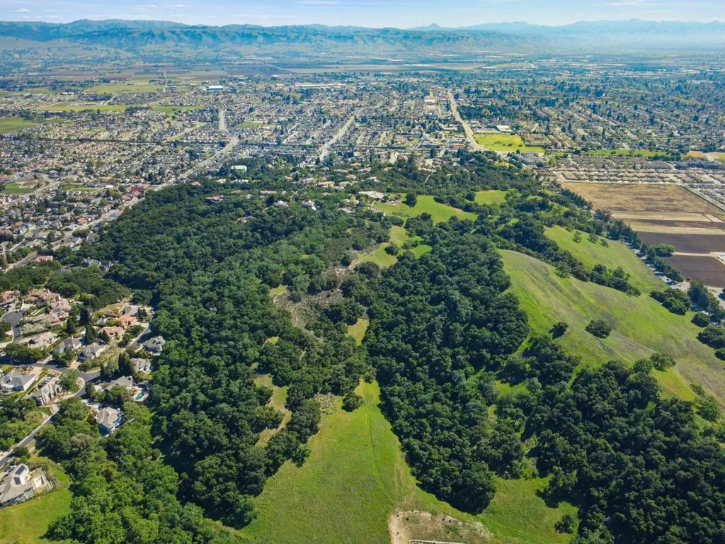 Hollyhock Lane, Gilroy