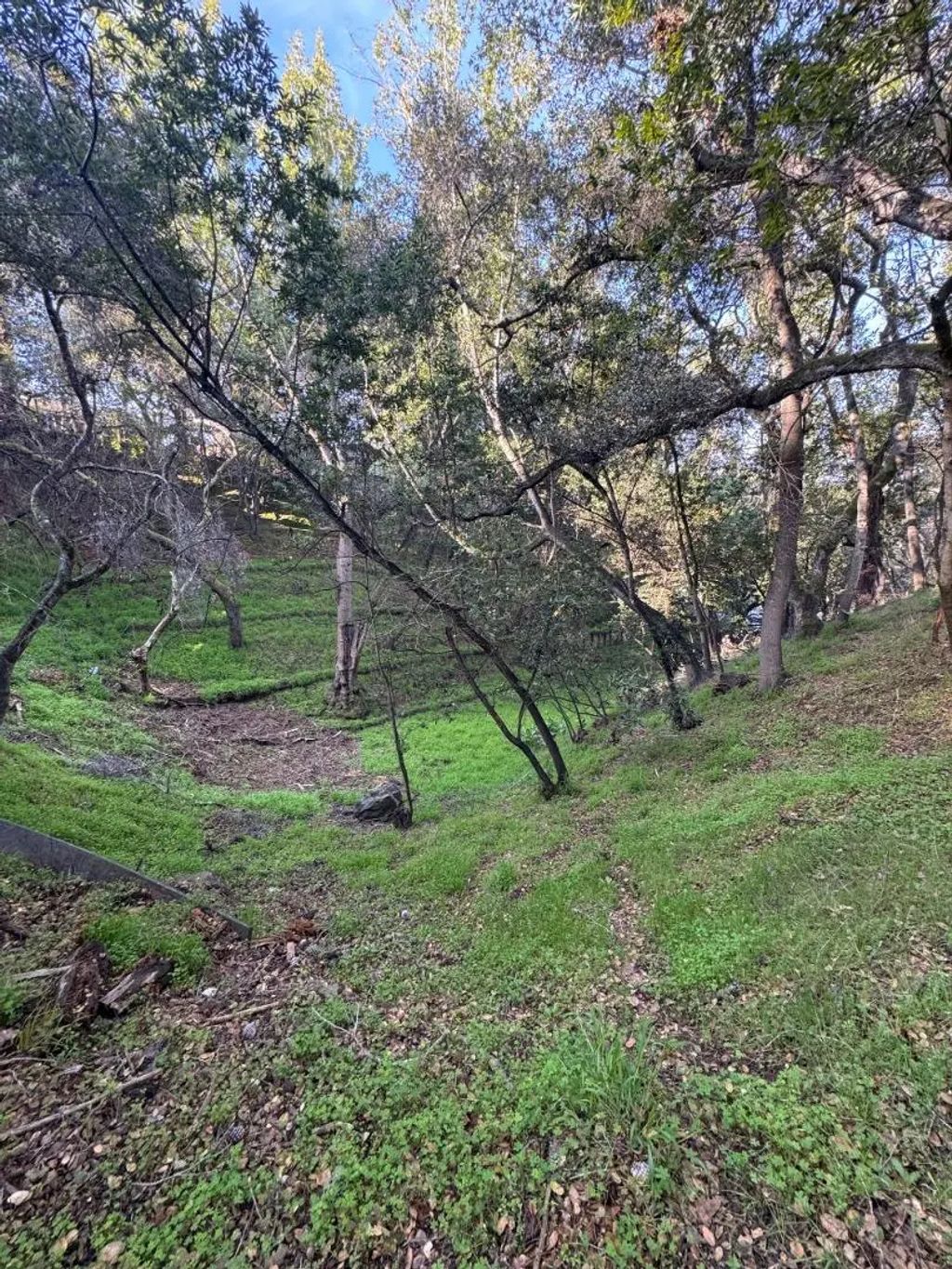 Parrott Drive, San Mateo