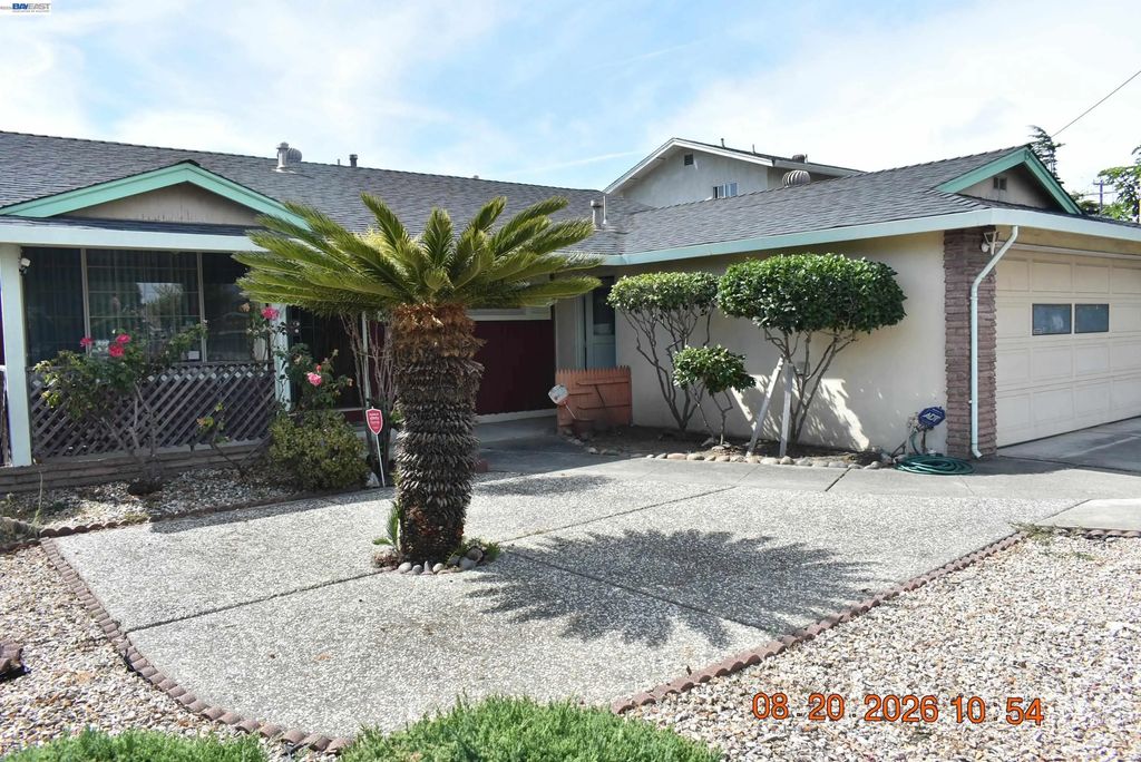 1772 Egret, Hayward