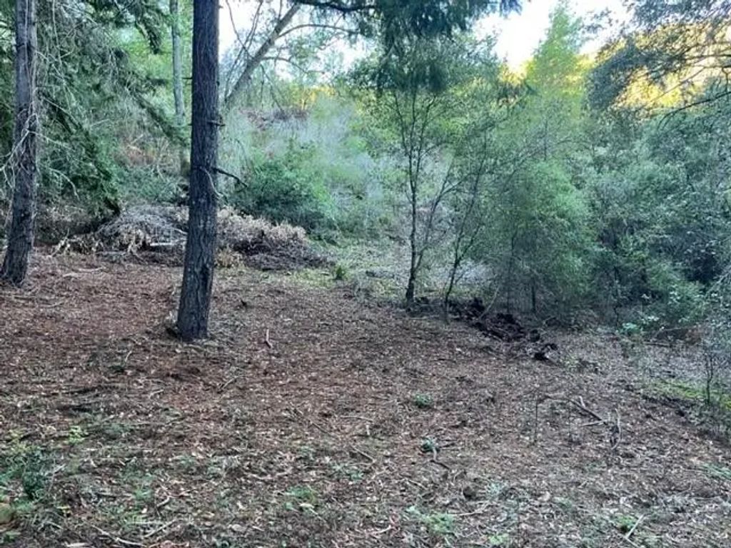 Redwood Retreat Road, Gilroy