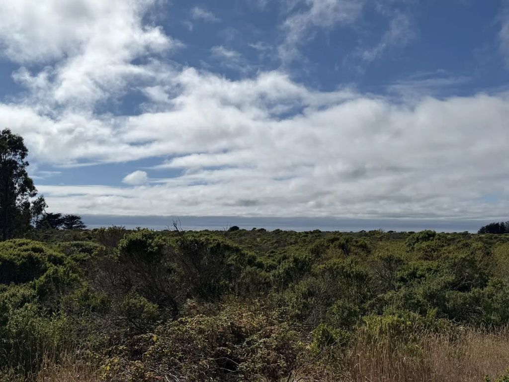 Bonita Ave., Half Moon Bay