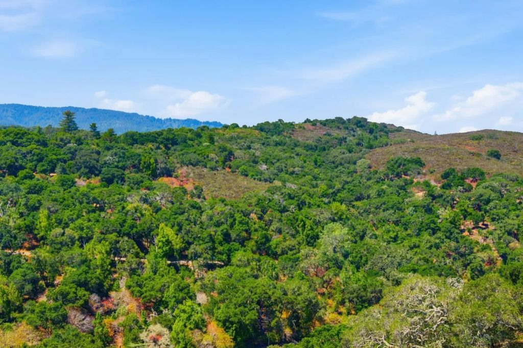 3368 La Mesa Drive 12, San Carlos