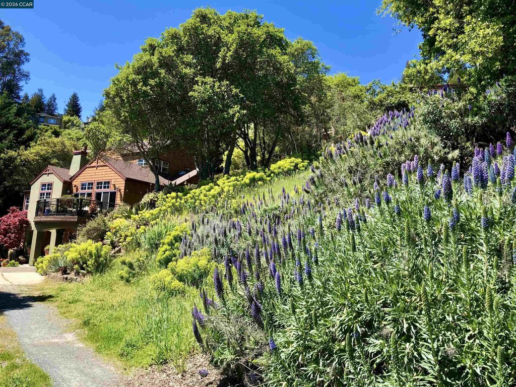 7033 Buckingham Blvd, Berkeley