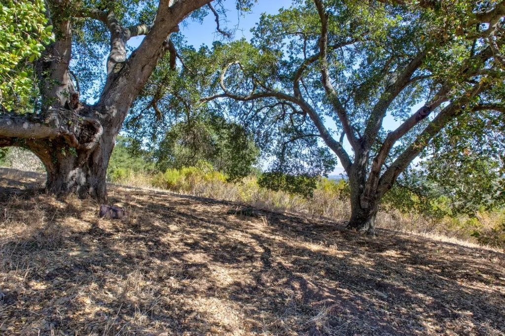 8272 Sassafras Court, Pleasanton
