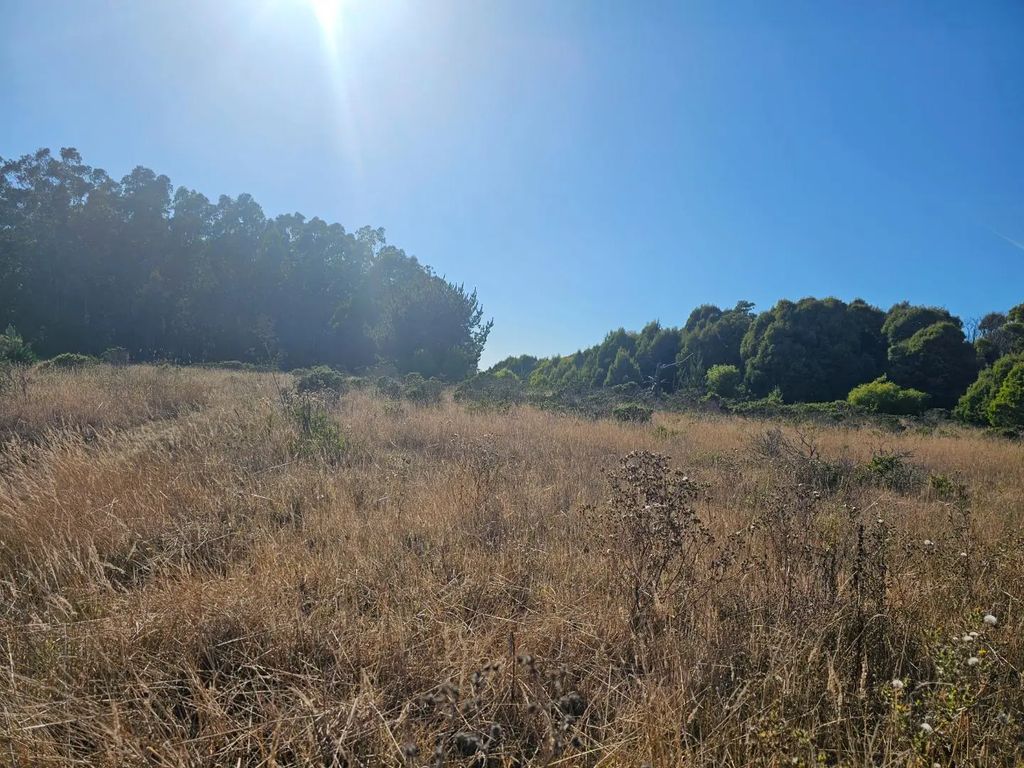 N/A, Half Moon Bay