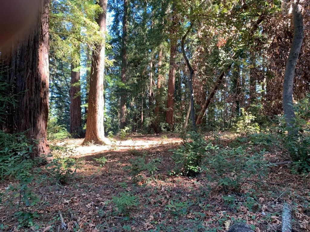01 Santa Ana Road, Los Gatos