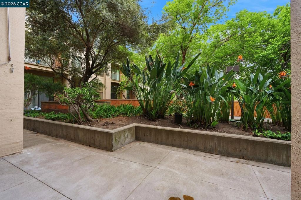 460 N Civic Dr 302, Walnut Creek