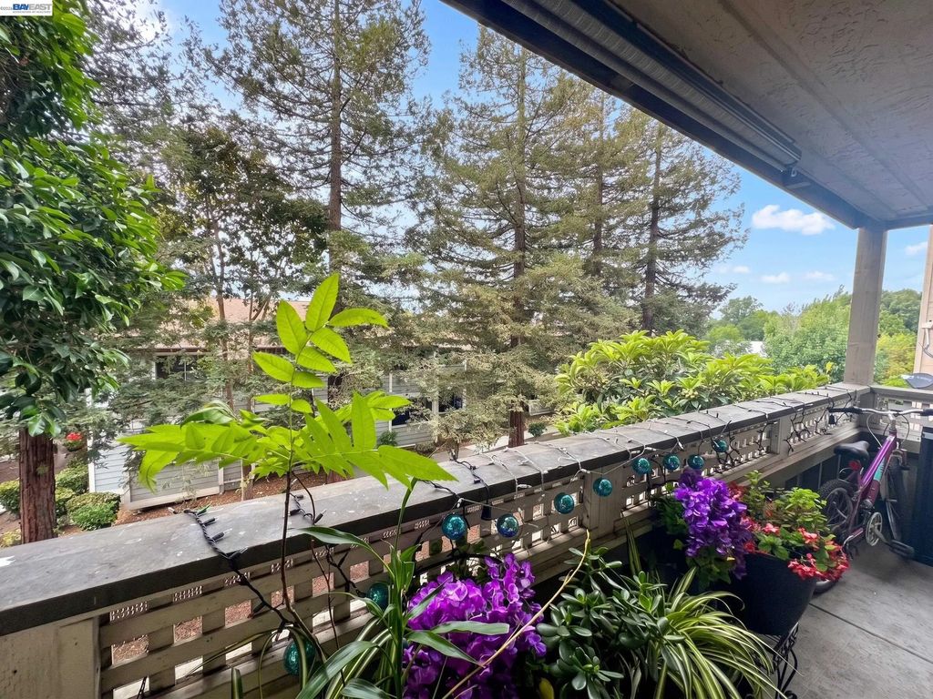29599 Vanderbilt St 204, Hayward