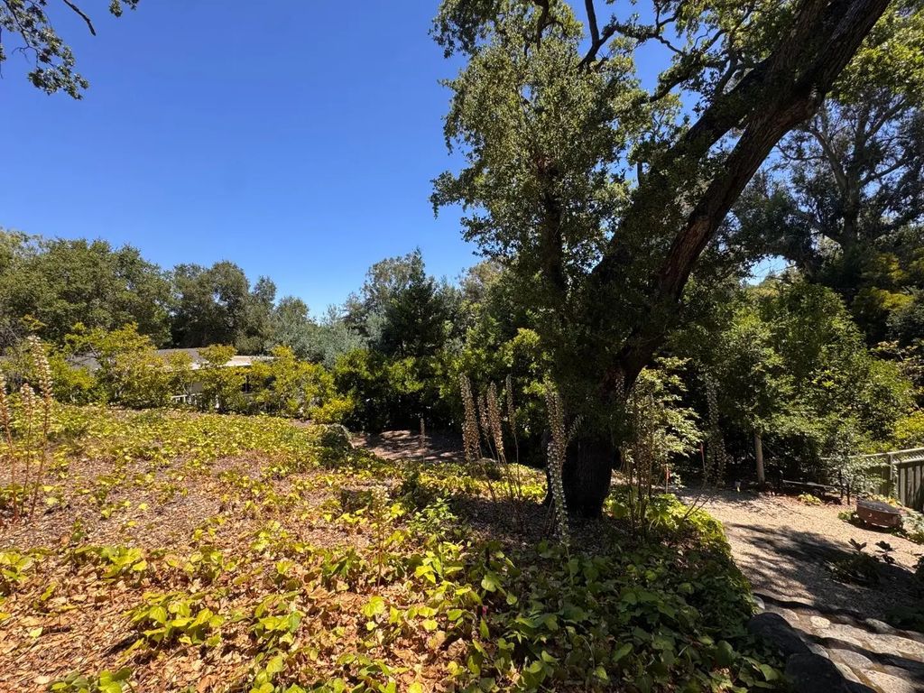 225 Oak Meadow Drive, Los Gatos