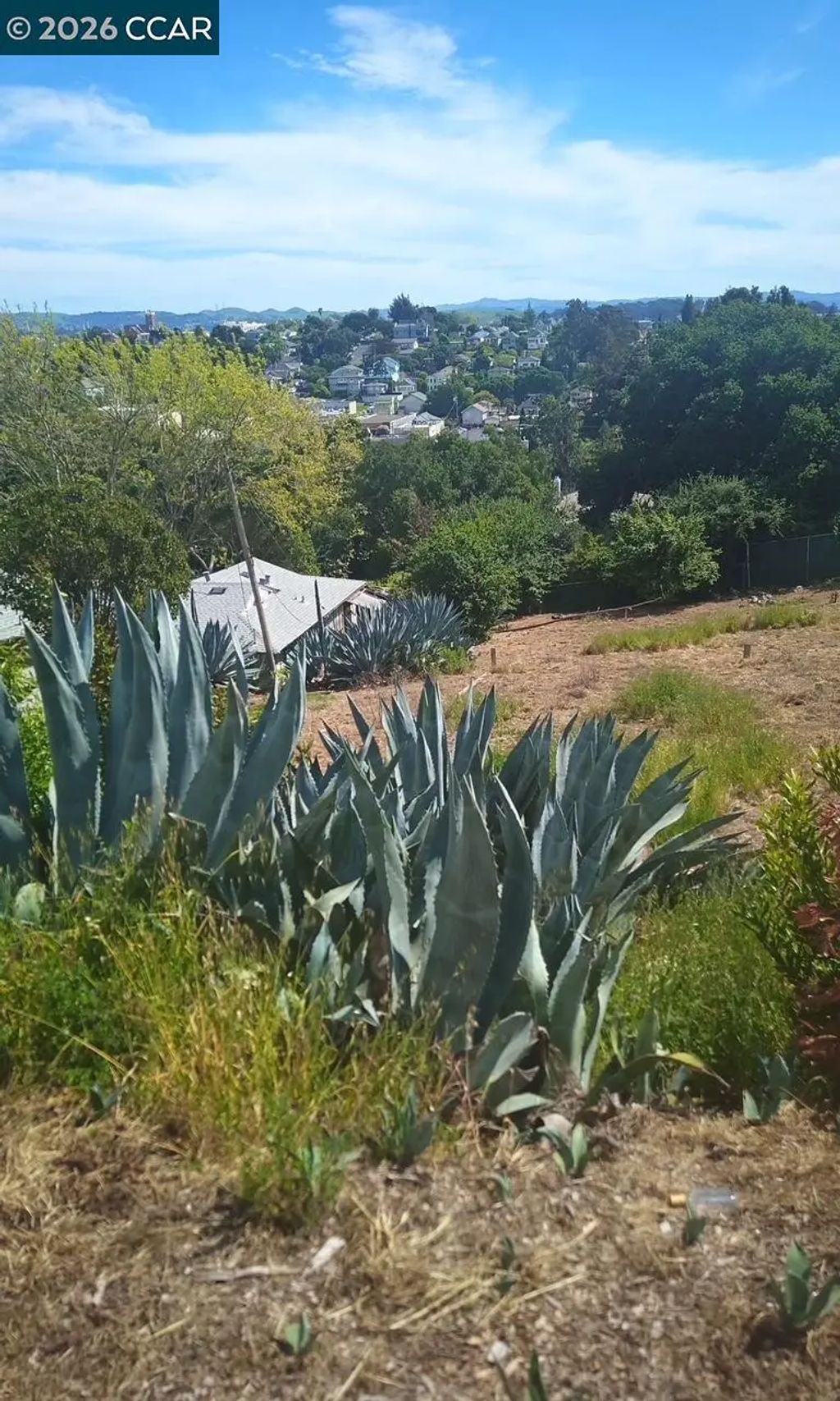 Hitchborn, Vallejo