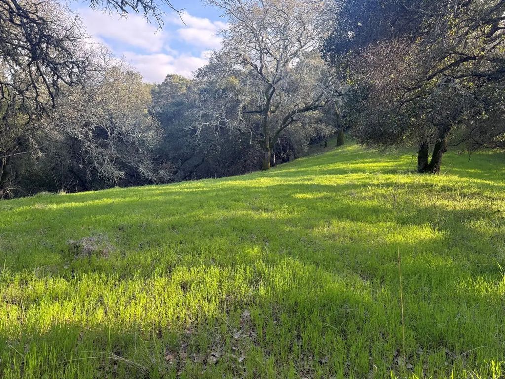 Chesbro Lake Drive, Morgan Hill