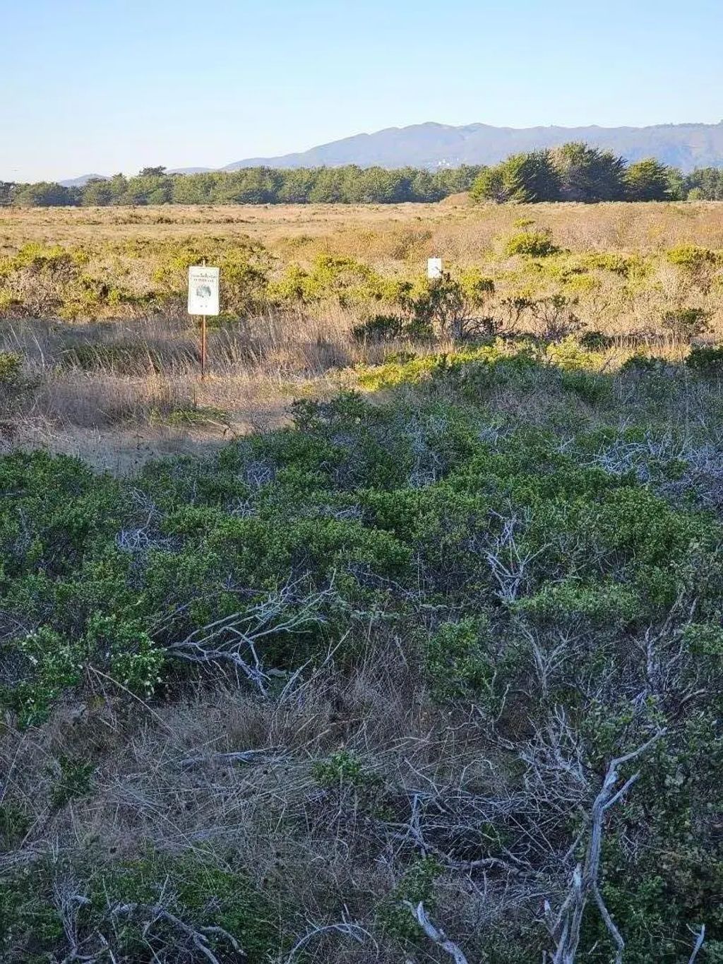 Rose Avenue, Half Moon Bay
