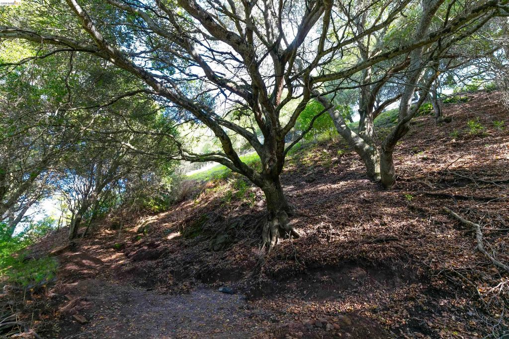20 Lucille Way, Orinda