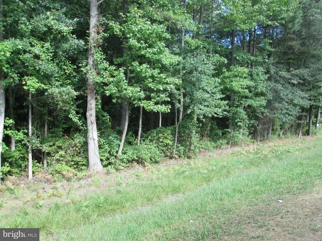 Rte 313 Rd, Federalsburg