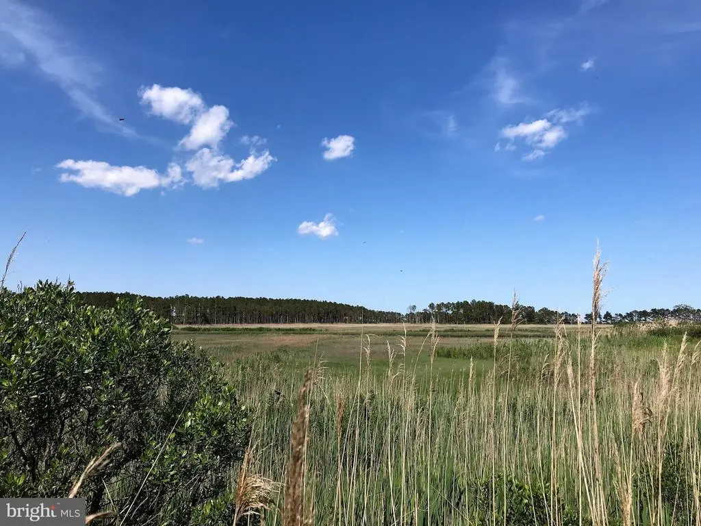 Basin Road, Millsboro