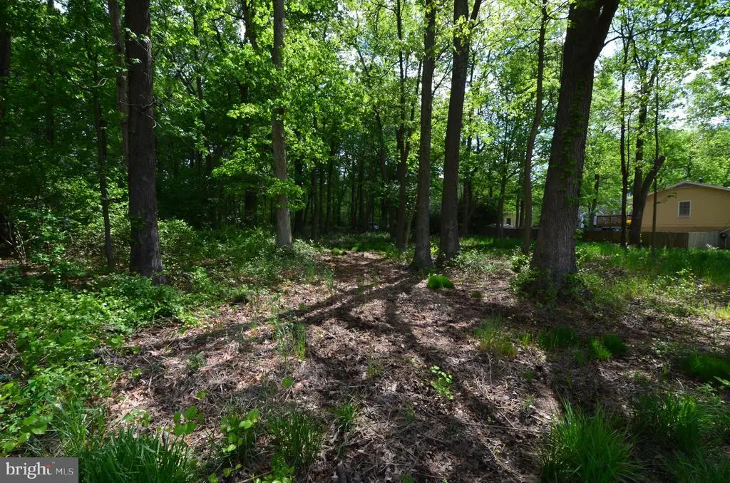 5611 Battee Dr, Churchton