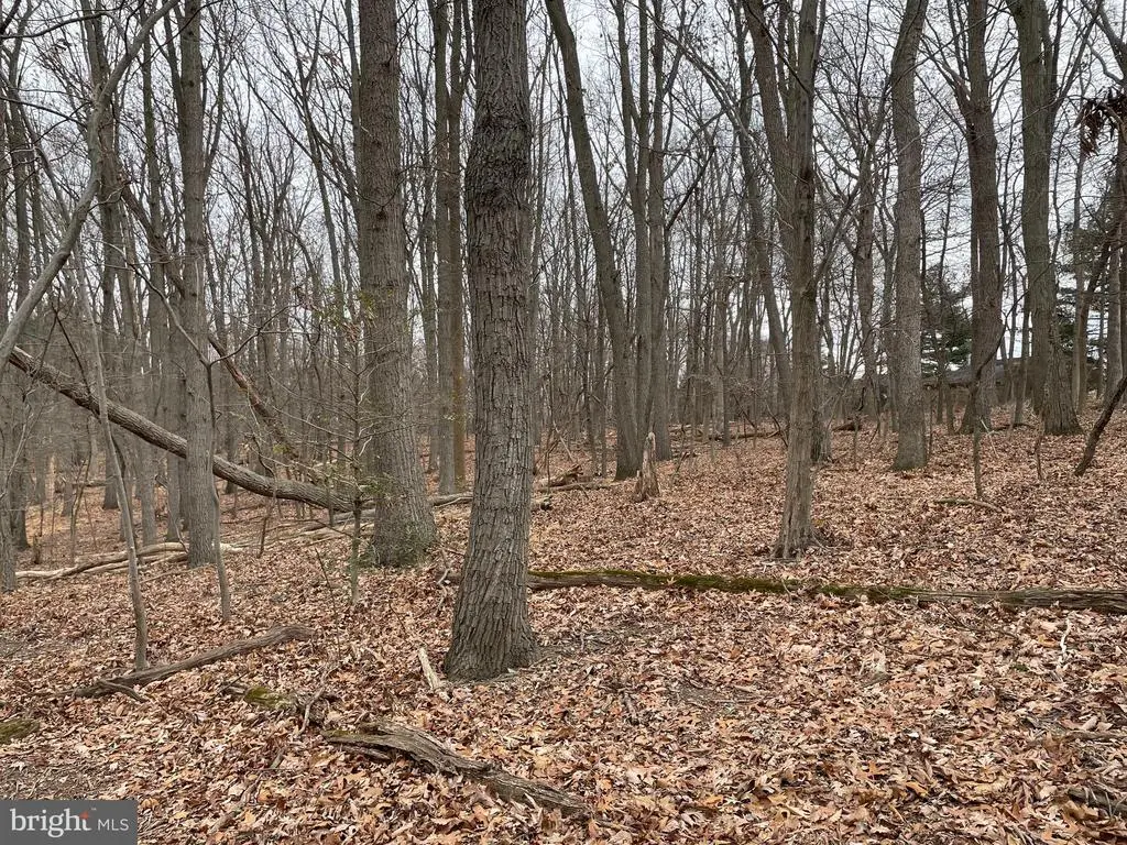 3020 Black Rock Rd, Reisterstown