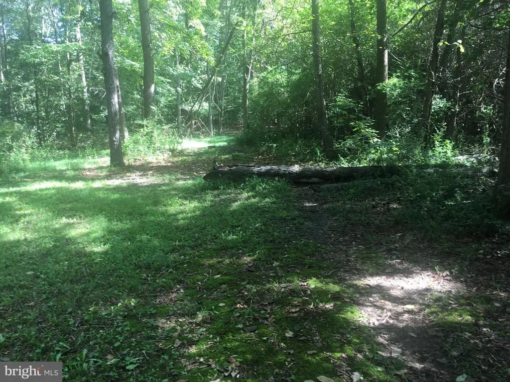 6735 Bristol Oak Pl, Indian Head