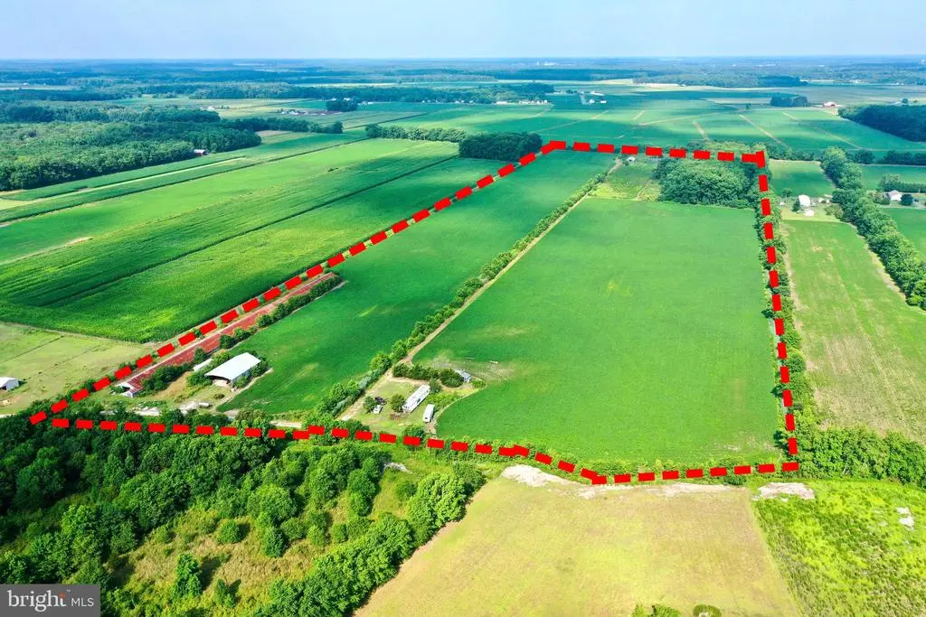 34311 Horse Play Way, Frankford