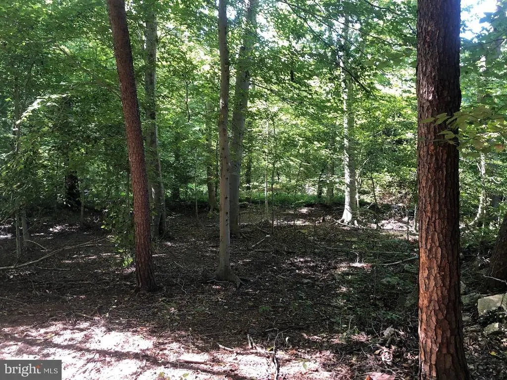 14317 Jericho Park Rd, Bowie