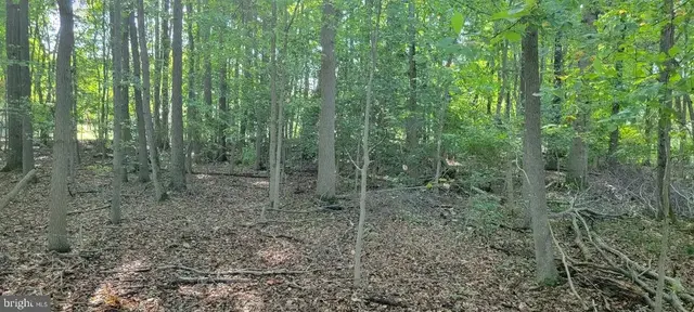 Beech Ln #parcel 27, Accokeek
