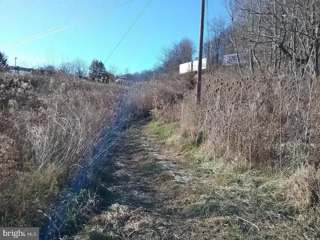 Route 40 Rd, Eckhart Mines