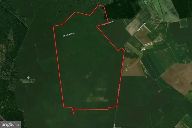 0 Follow Ditch Road, Princess Anne