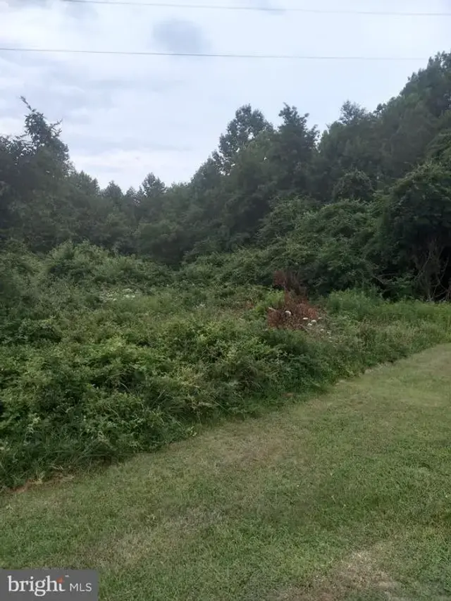 0 Lewis Estates Lane - Lot 4, Spotsylvania