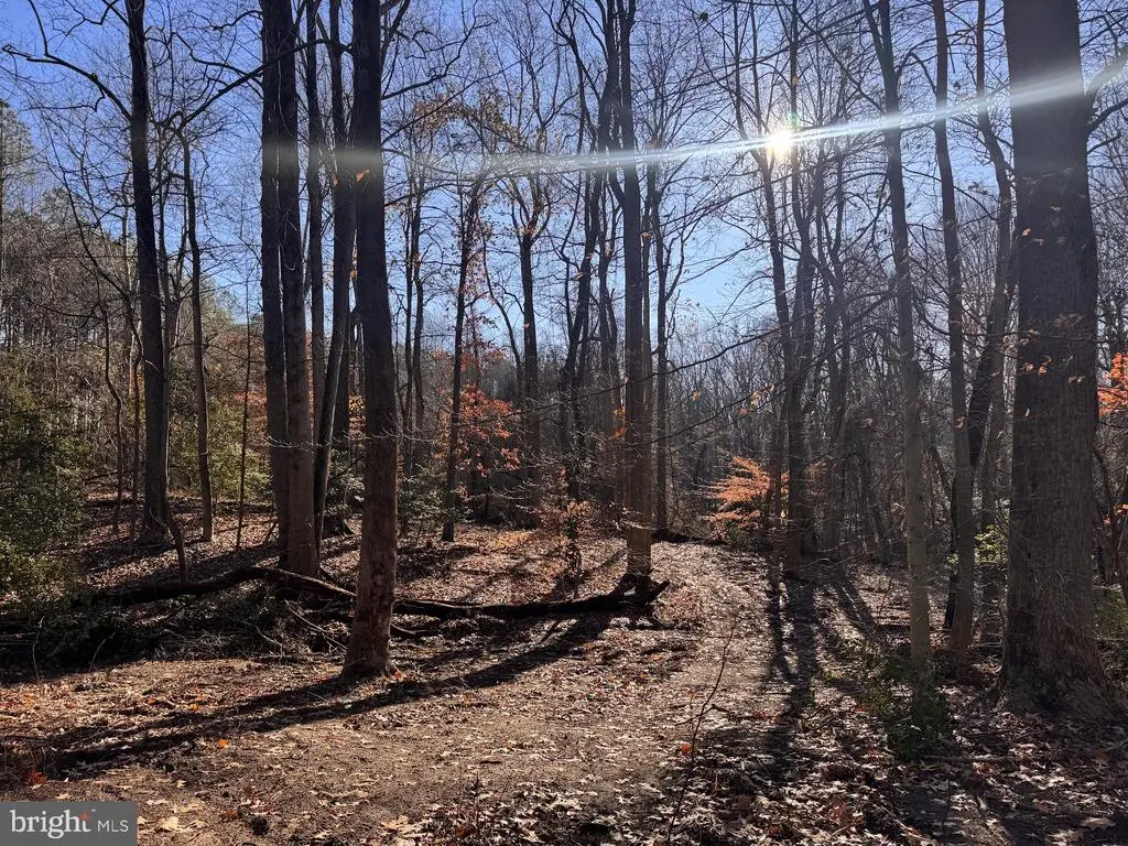 5260 Sheridan Point Rd, Prince Frederick