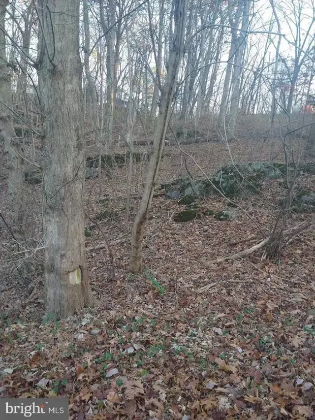 Pin Oak Rd, Front Royal