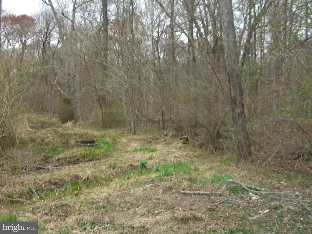 Bonnie Lane, Waldorf