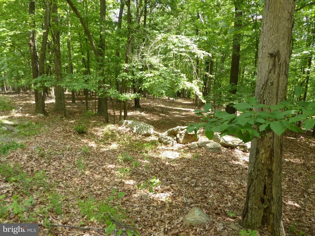 Lot 39 Wild Apple Ln, Paw Paw